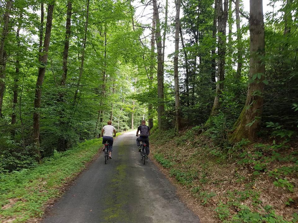 Arfeuilles Le Bois Du Four B&B 외부 사진